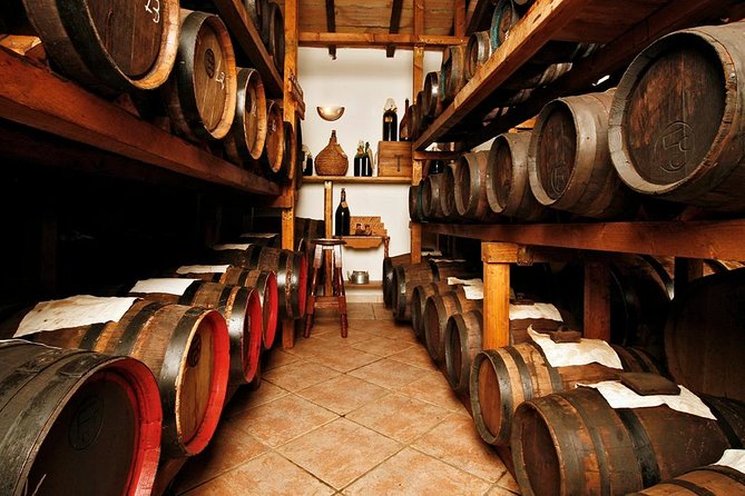 Cavedoni Balsamic Vinegar Tour: The Oldest in Modena - Just The Basics