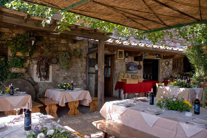 Chianti Safari: Tuscan Villas With Vineyards, Cheese, Wine & Lunch From Florence - Just The Basics