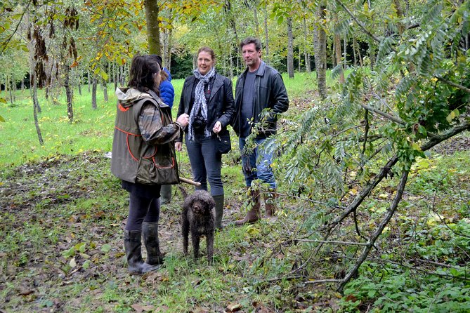 Full-Day Small-Group Truffle Hunting in Tuscany With Lunch - Just The Basics
