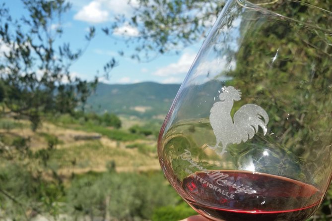 Greve in Chianti Wine Tasting and Winery Tour - Just The Basics