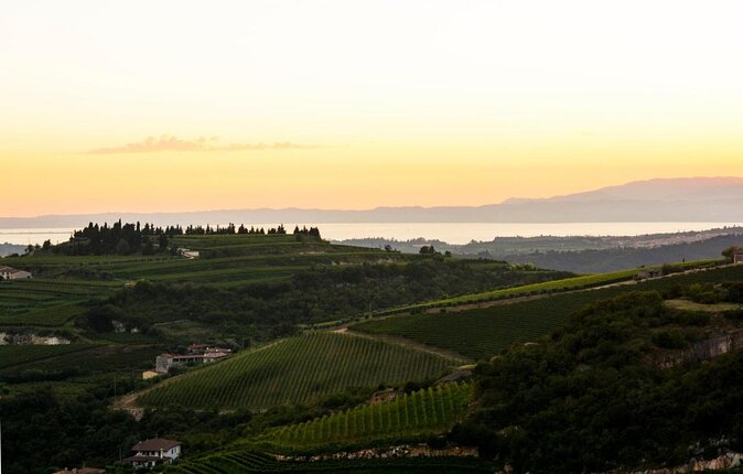 Pagus Wine Tours - a Taste of Valpolicella - Half Day Wine Tour - Just The Basics