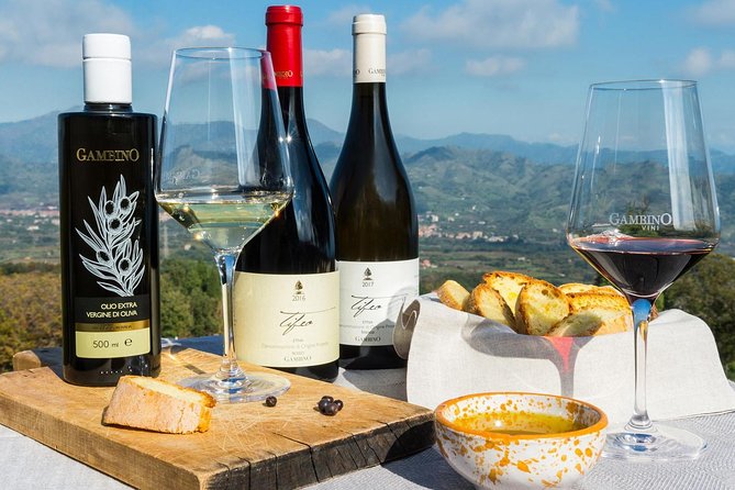 Private Tour of Etna and Winery Visit With Food and Wine Tasting From Taormina - Just The Basics