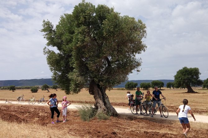 Puglia Bike Tour: Cycling Through the History of Extra Virgin Olive Oil - Just The Basics
