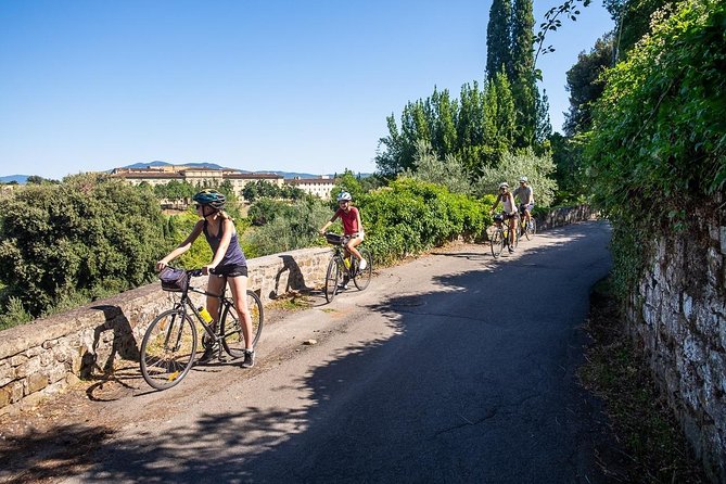 Tuscan Country Bike Tour With Wine and Olive Oil Tastings - Just The Basics