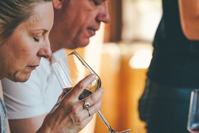 Valpolicella and Amarone Wine-Tasting Tour From Verona - Just The Basics