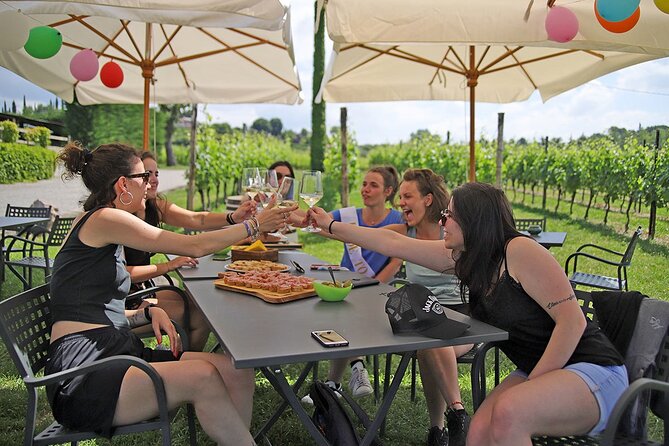 Wine and Food Tasting in the Vineyards in Lazise - Just The Basics