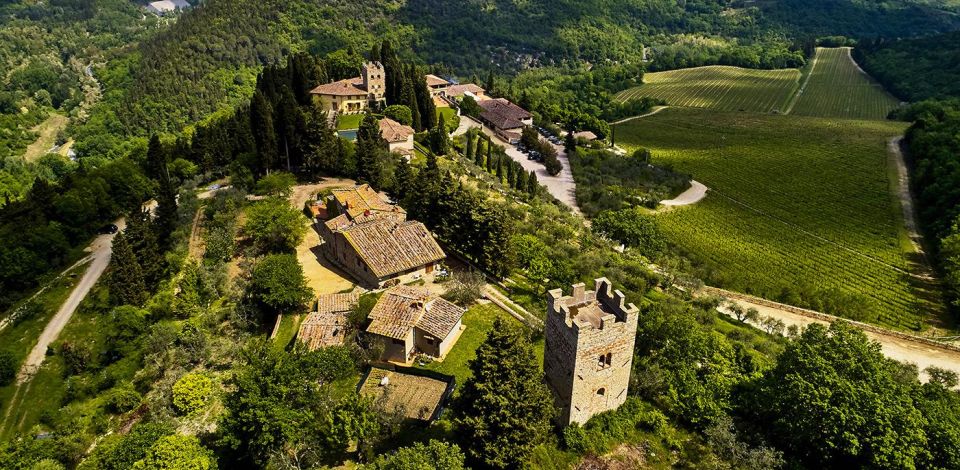 2 Wineries Chianti Wine Tasting Private Tour