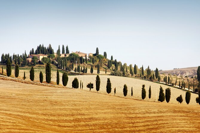 Chianti and Castle Small Group Tour From Siena With Wine Tasting - Tour Details