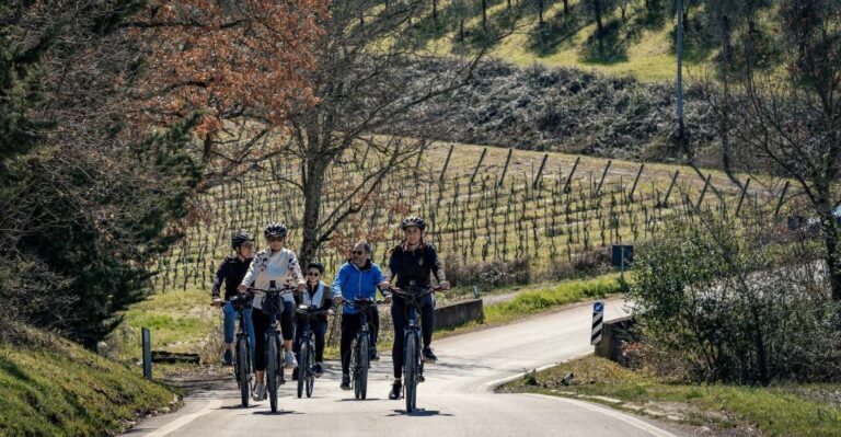 Chianti Classico: E-Bike Tour With Lunch and Tastings