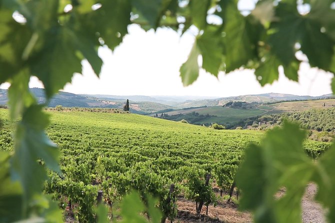 Chianti Wine Tour From Florence - Tour Details
