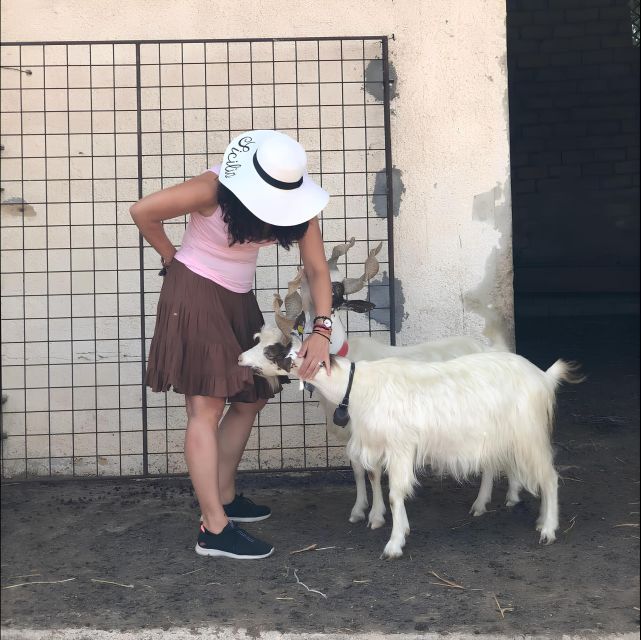Experience With Girgentan Goats in Agrigento - Experience Details