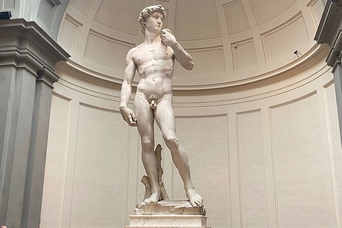 Florence: Ticket to See Michelangelos David