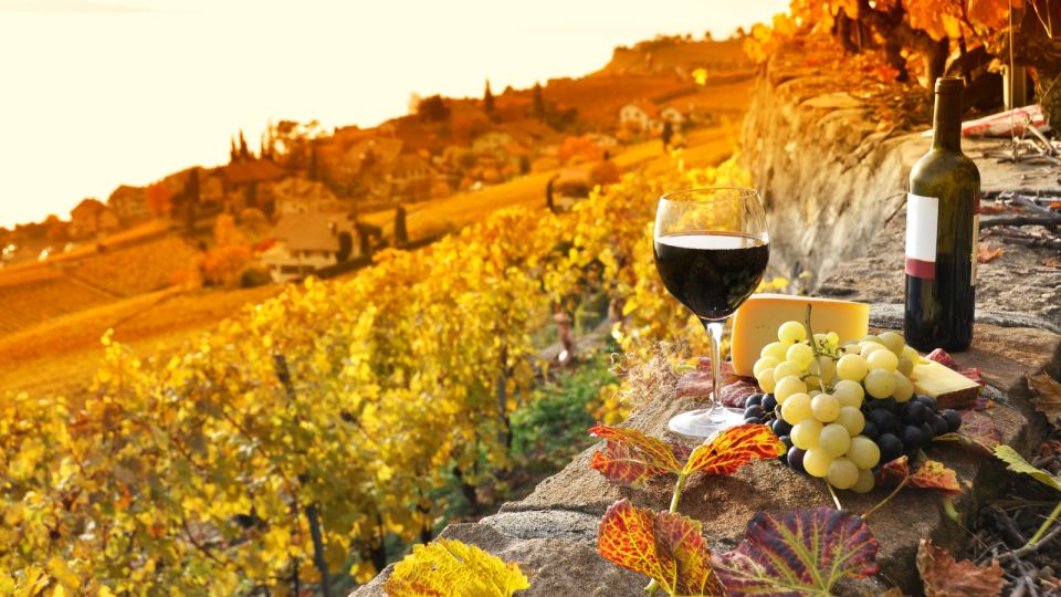 From Florence: Chianciano Evo Oil & Montepulciano Wine Tour - Tour Details