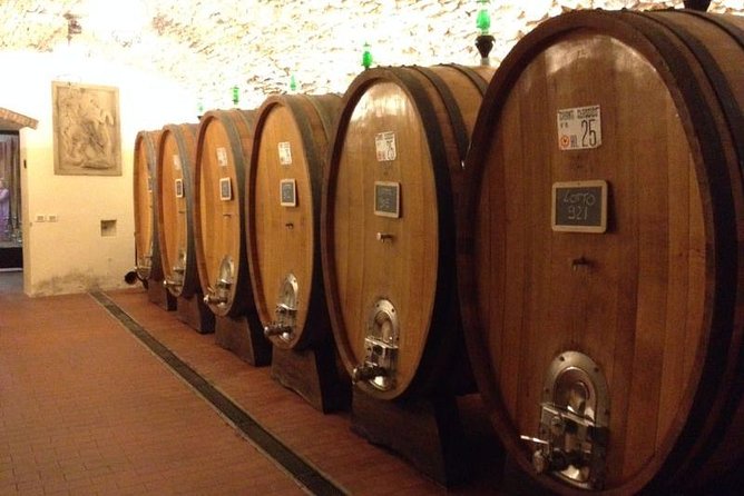 From Florence: Small-Group Tuscany Wine & Oil Tour With Typical Tuscan Meal