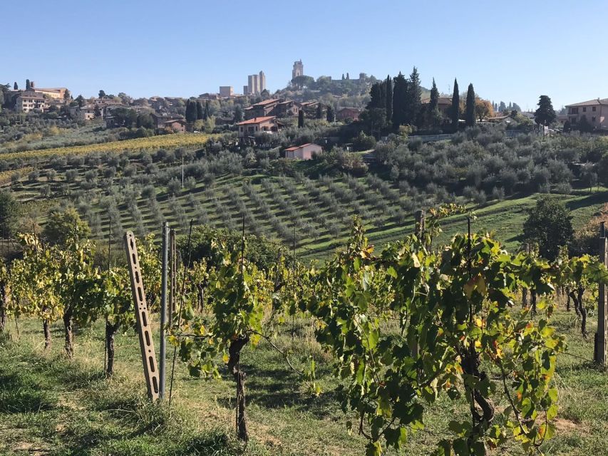 From Livorno: Shore Excursion to Chianti and San Gimignano - Tour Details
