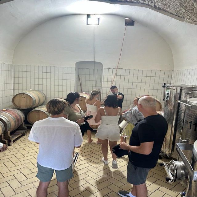 From Sorrento: Private Luxury Tour Pompei ,Winery