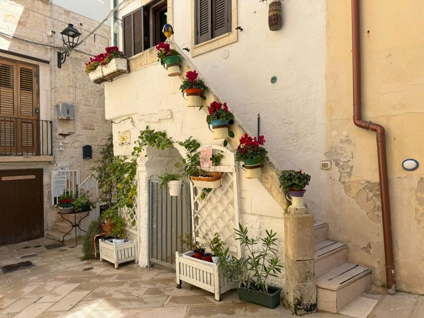 Full Day : From Matera to Alberobello, Polignano, and Bari - Tour Details