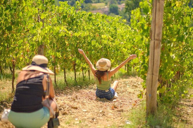Half Day Chianti Vineyard Escape From Florence With Wine Tastings - Tour Pricing and Savings
