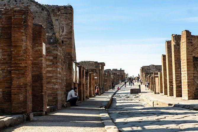Mt. Vesuvius and Pompeii Day Trip From Naples All Inclusive - Tour Details