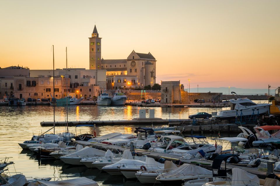 One-Day From Matera to Bari, Gravina, Castel Del Monte Trani - Tour Overview