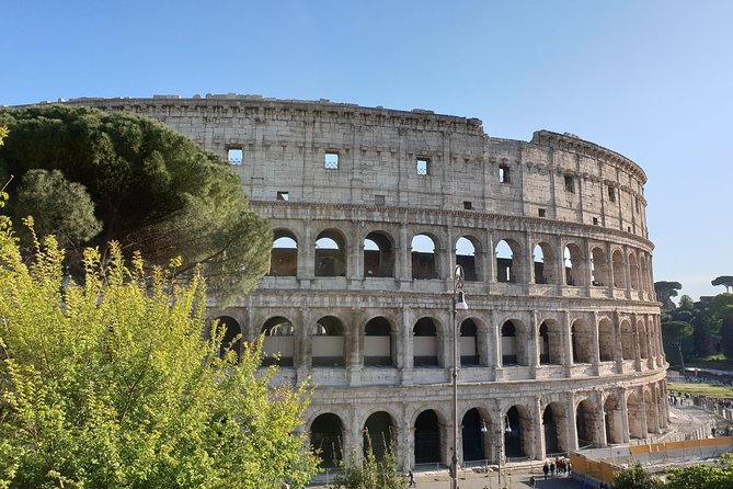 Rome: Colosseum, Palatine Hill and Forum Small-Group Tour - Tour Highlights