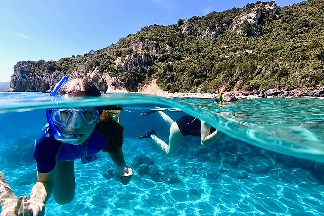Snorkeling Experience to Discover the Dolphin Inside You! - Choosing the Right Snorkeling Gear