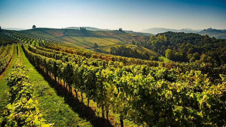 Valpolicella Private Tour Wine Tasting With Lunch - Tour Overview and Pricing