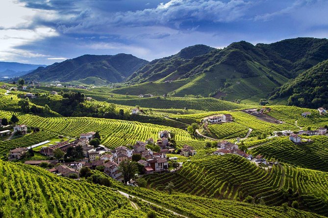 Wine and Food Tour in the Prosecco Hills From Venice - Tour Details