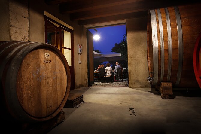 Wine Tasting With Panoramic View of Verona - Vineyard Offerings