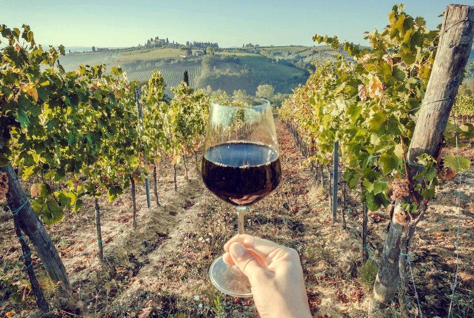 2 Wineries Chianti Wine Tasting Private Tour - Just The Basics