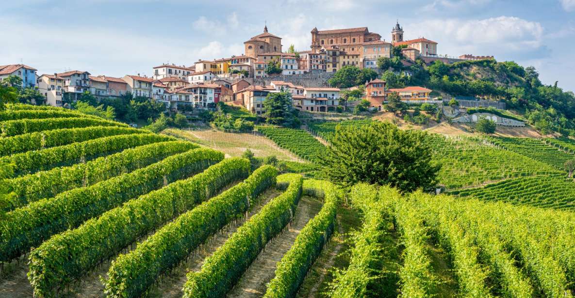 Alba: Barolo Castle, Alfieri Vineyards, and Truffle Lunch - Booking Information