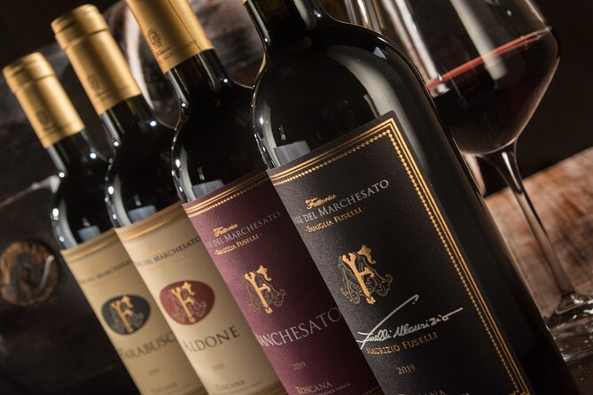 Bolgheri: Premium Wine Tasting With Winery Tour - Tour Highlights
