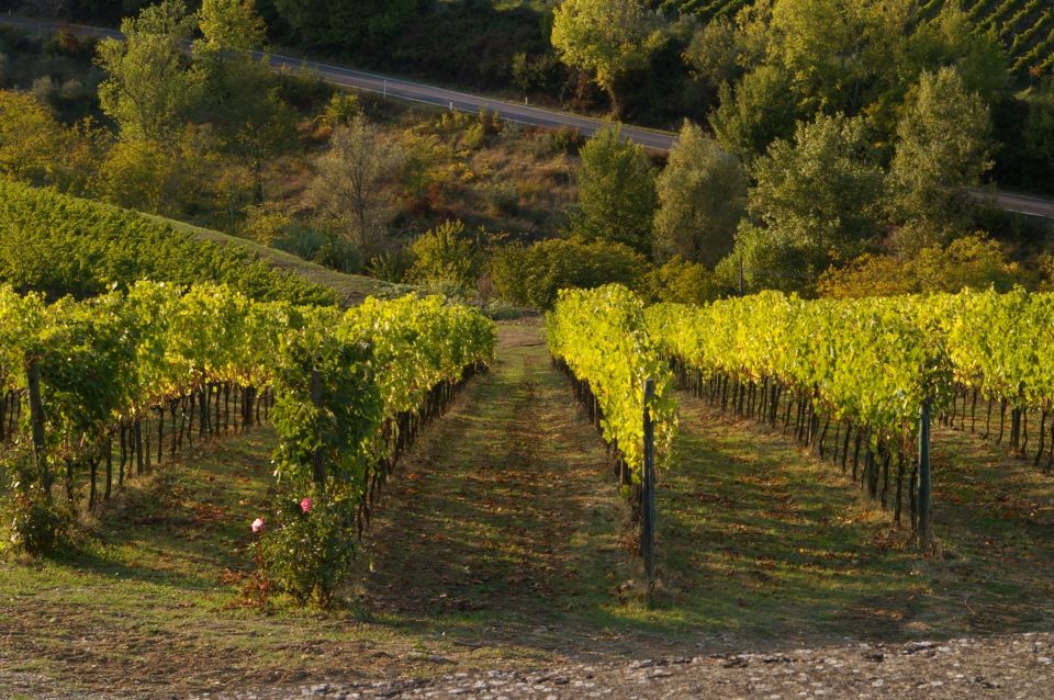 Chianti, Siena, S. Gimignano & Wine Tasting Private Tour - Booking Information