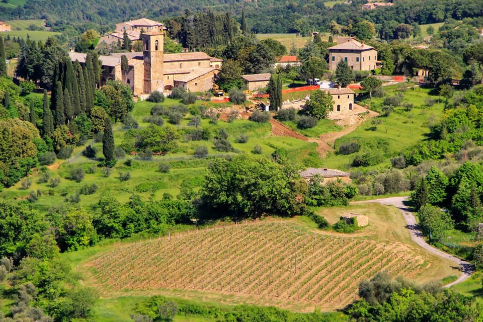 Exclusive Brunello Wine Tour a Private Luxury Experience - Exclusive Winery Experience