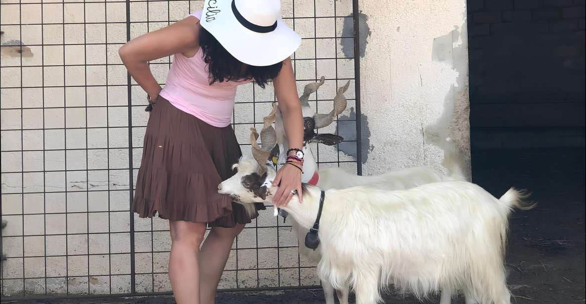 Experience With Girgentan Goats in Agrigento - Experience Highlights