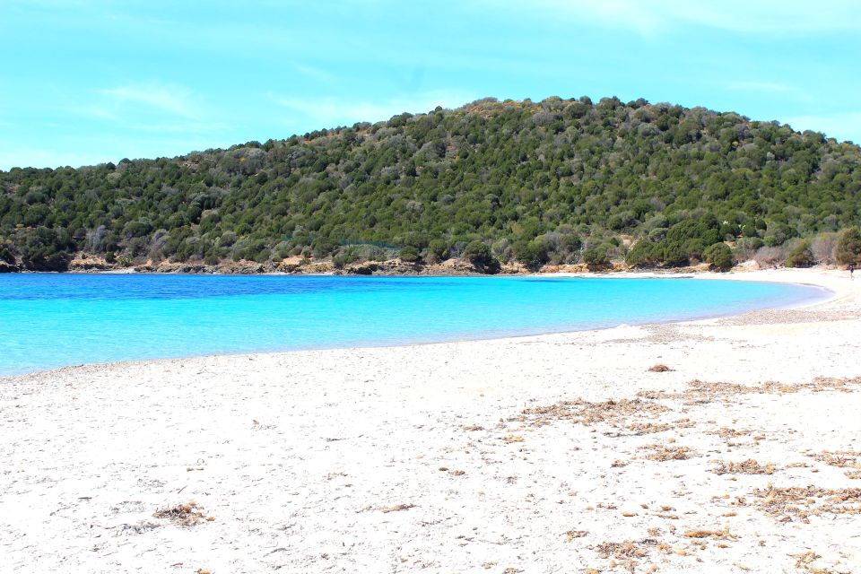 From Chia: Full-Day Tour of Sardinias Hidden Beaches - Activity Details