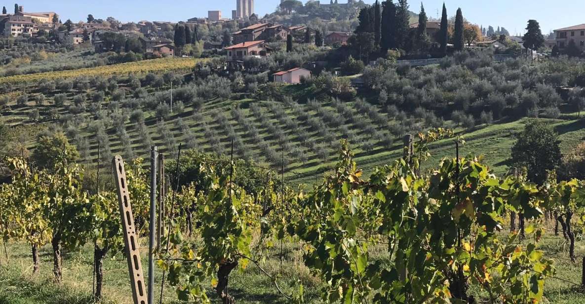 From Livorno: Shore Excursion to Chianti and San Gimignano - Meeting Point