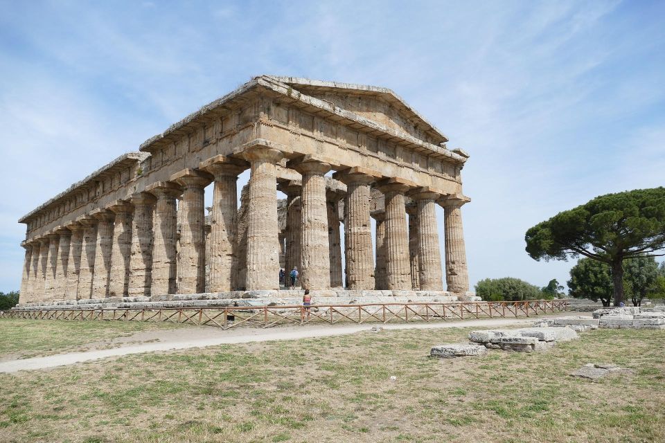 From Naples: Paestum Greek Temples, Bufala Mozzarella Farm - Tour Highlights