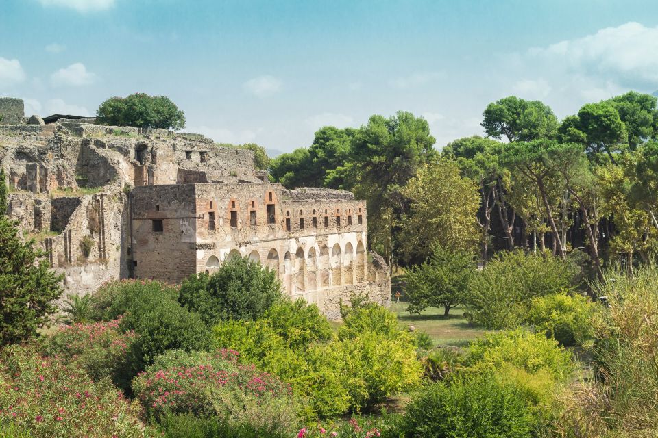 From Rome: Pompeii Private Full-Day Trip With Tour - Experience