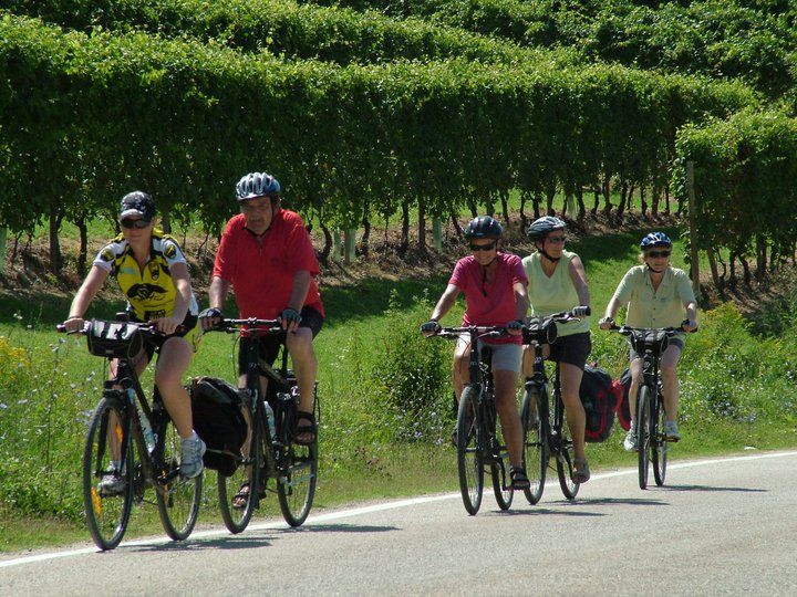 From Turin: 8-Day Cycling Tour in Piedmont - Daily Itinerary Details