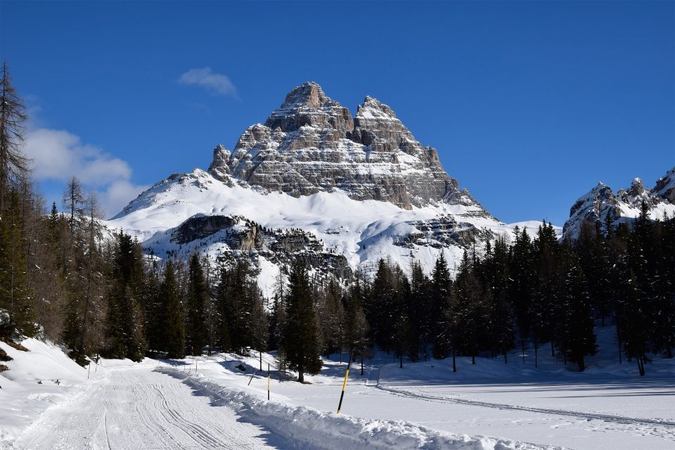 From Venice: Cortina and the Dolomites in One Day - Tour Highlights