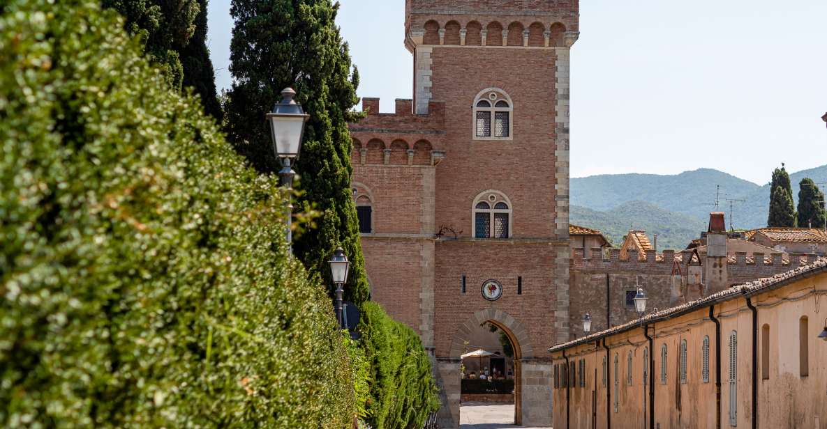 Full Day Bolgheri Tuscan Private Tour From Florence - Activity Highlights