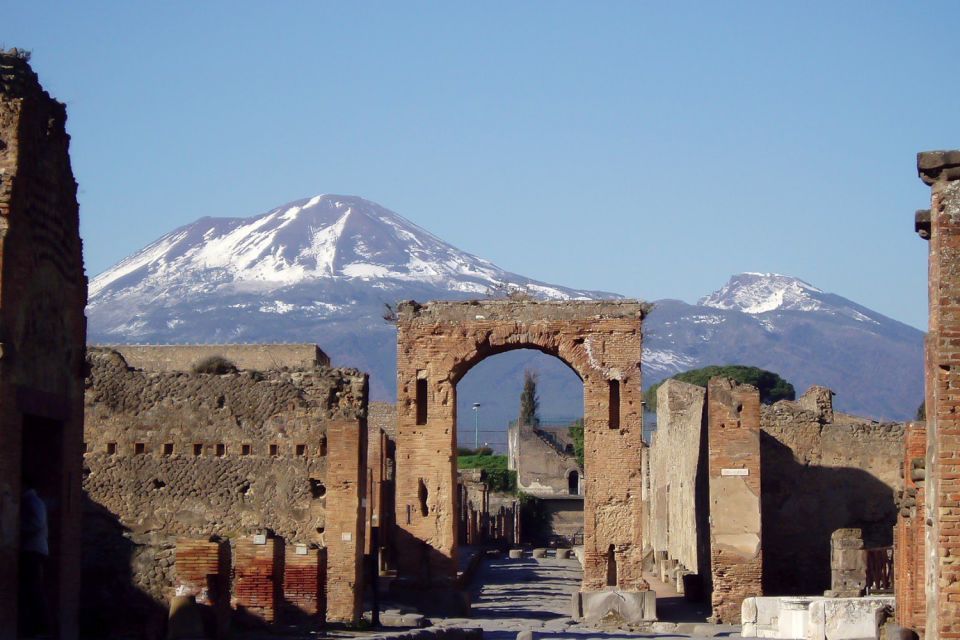 Naples: Pompeii, Herculaneum and Mt. Vesuvius Private Tour - Booking Information
