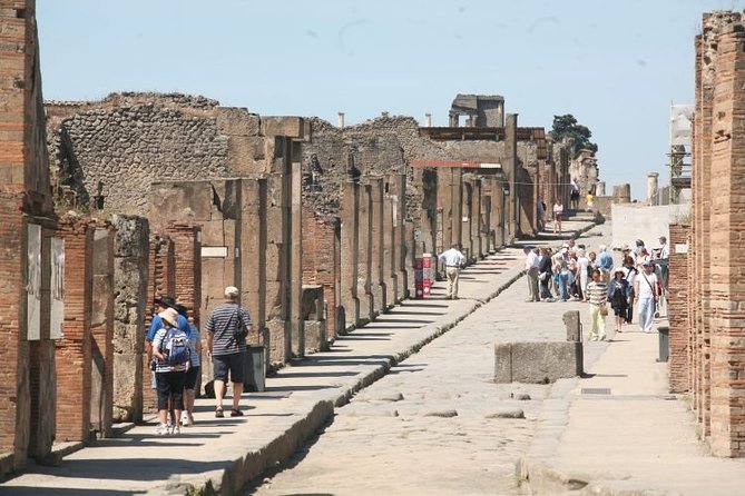 Pompeii Guided Walking Tour With Included Entrance at Pompeii Ruins - Highlights of the Guided Tour