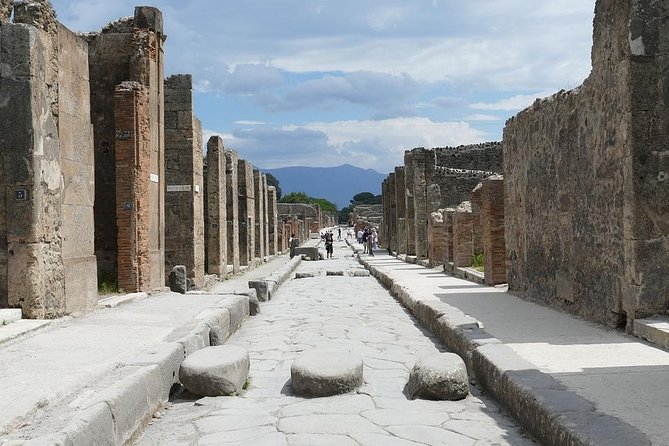 Pompeii Private Tour From Naples Cruise, Port or Hotel Pick up - Customer Reviews and Recommendations