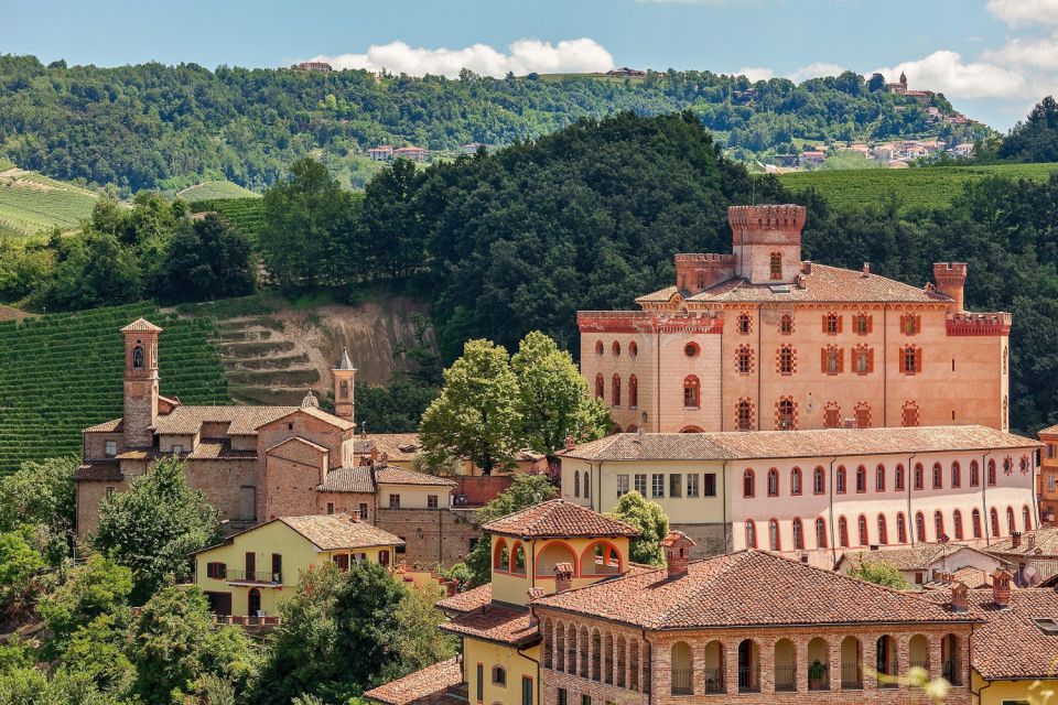 Private Tour: Barolo Wine Tasting in Langhe Area From Torino - Activity Highlights