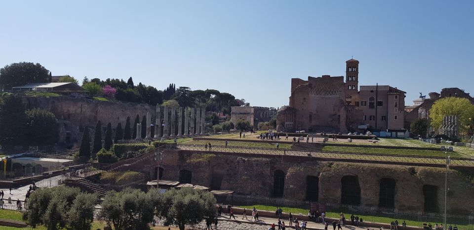 Rome: Fast-Track Private Colosseum Arena & Palatine Hill - Activity Description