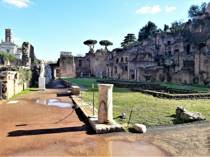 Rome: Vatican, Colosseum & Main Squares Tour W/ Lunch & Car - Tour Itinerary