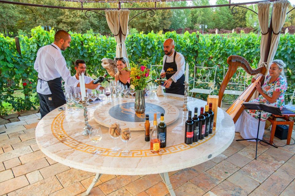 San Gimignano: Exclusive and Private Canopy Dinner in Winery - Experience Description