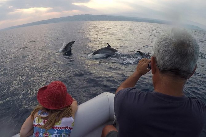 Sustainable Dolphin Watching Tour With Marine Biologist  - Sicily - Marine Biologist Expertise